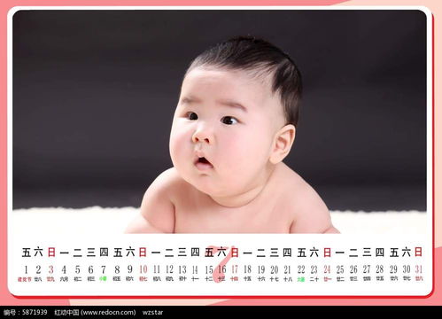 可愛寶寶藝術照臺歷模板psd素材免費下載 紅動網