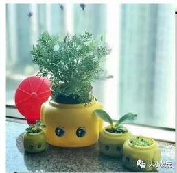 小紅書上超火的日本藥用級馬油寶寶面霜,預防冬天蘋果臉的神器